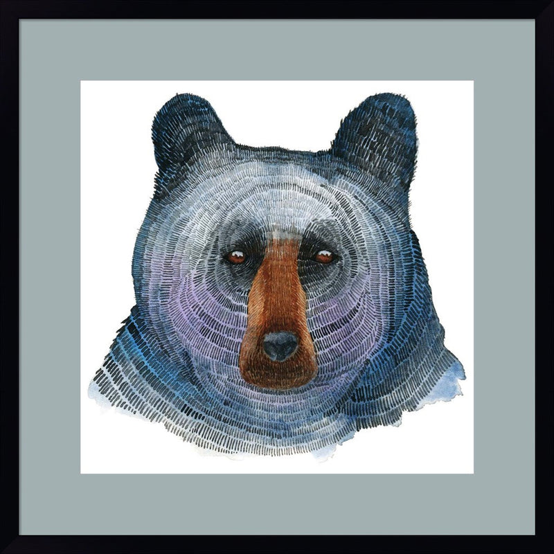 Black Bear by Jeannine Saylor, Framed Art