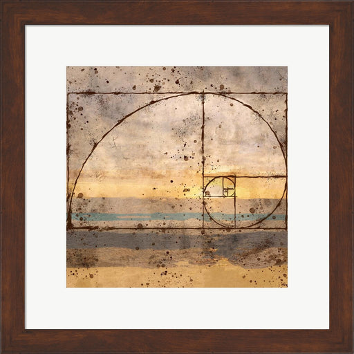 Fibonacci Shell by Marta Wiley, Framed Art