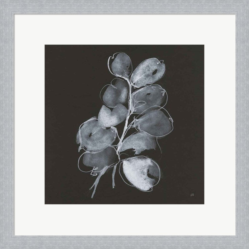 White Eucalyptus II by Chris Paschke, Framed Art