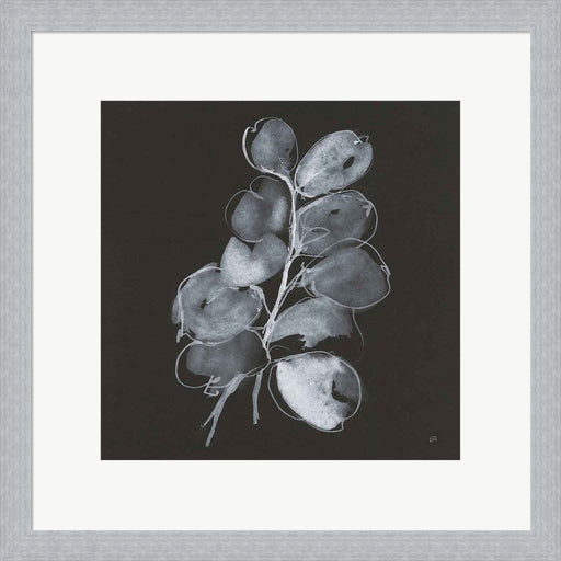 White Eucalyptus II by Chris Paschke, Framed Art