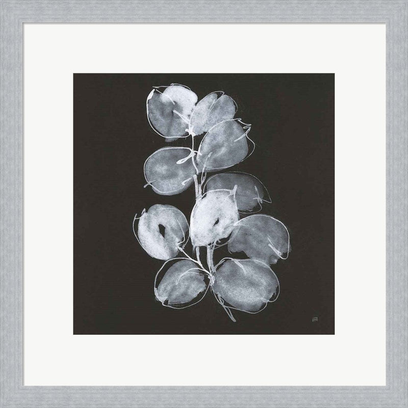 White Eucalyptus I by Chris Paschke, Framed Art