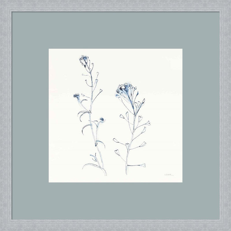 Shepherds Purse Stems II Blue by Shirley Novak, Framed Art