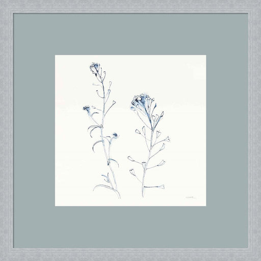 Shepherds Purse Stems II Blue by Shirley Novak, Framed Art