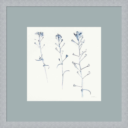 Shepherds Purse Stems I Blue by Shirley Novak, Framed Art