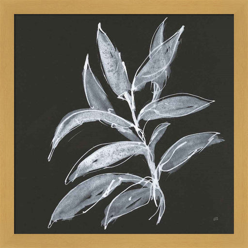 Branch IV by Chris Paschke, Framed Art