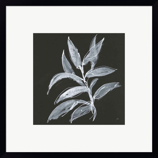 Branch IV by Chris Paschke, Framed Art