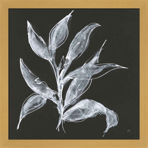 Branch III by Chris Paschke, Framed Art