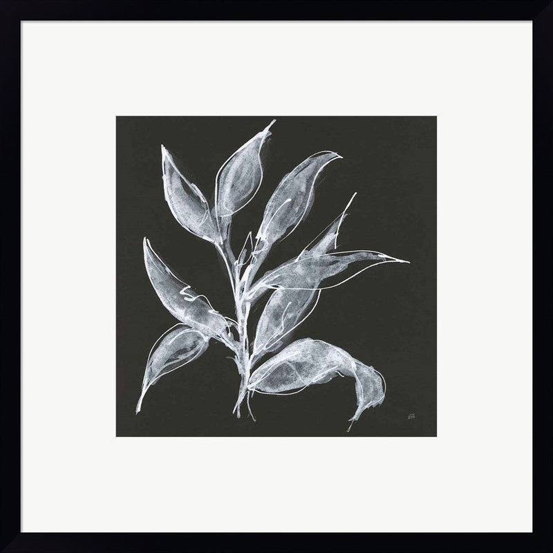 Branch III by Chris Paschke, Framed Art