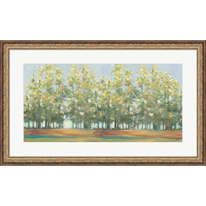 Aspen Grove III by Julia Purinton, Framed Art