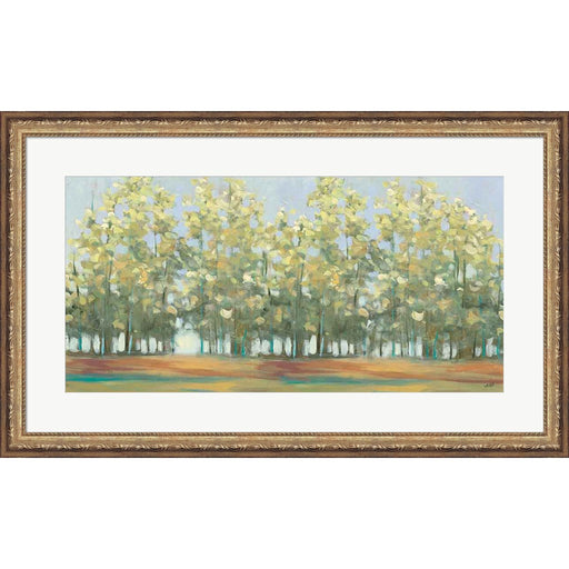 Aspen Grove III by Julia Purinton, Framed Art