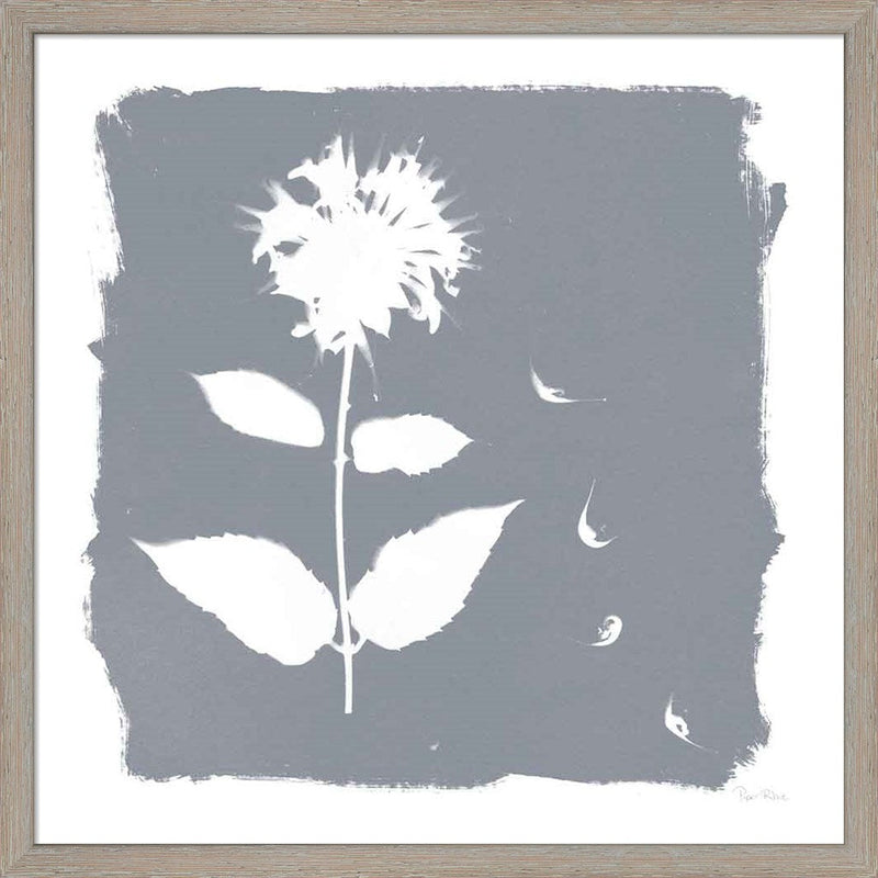 Nature by the Lake Flowers II Neutral by Piper Rhue, Framed Art