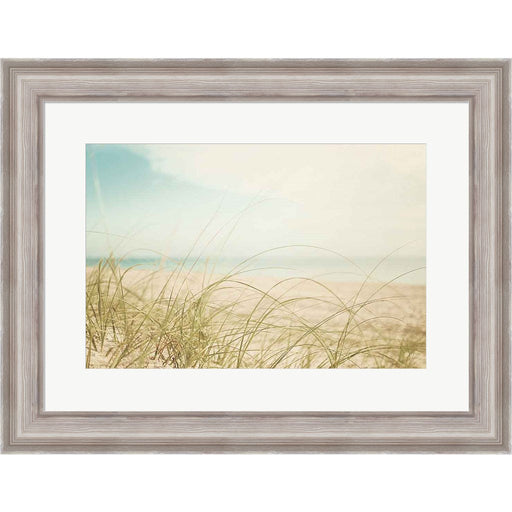 Beach Grass V Light by Elizabeth Urquhart, Framed Art