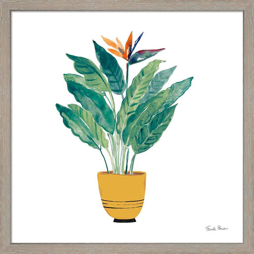 Potted Jewels III by Farida Zaman, Framed Art
