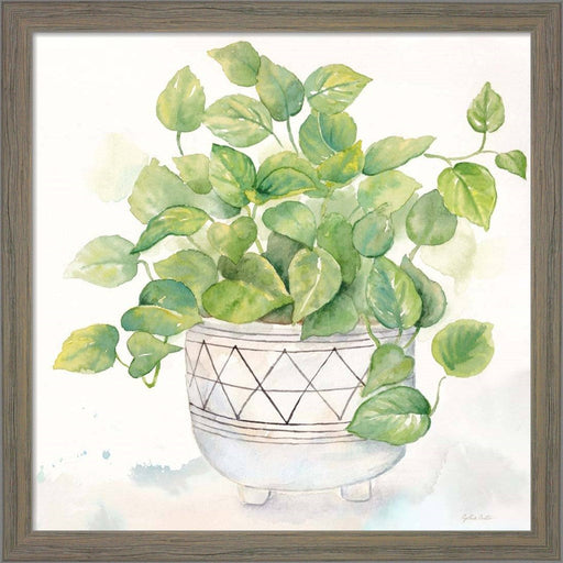 Houseplant I-Philodendron by Cynthia Coulter, Framed Art
