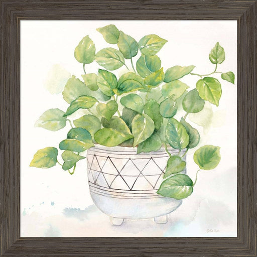 Houseplant I-Philodendron by Cynthia Coulter, Framed Art