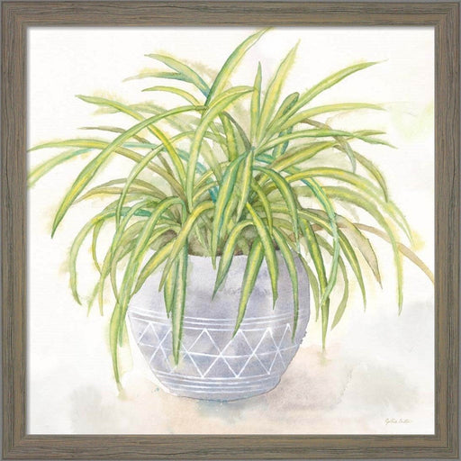 Houseplant II-Spider Plant by Cynthia Coulter, Framed Art