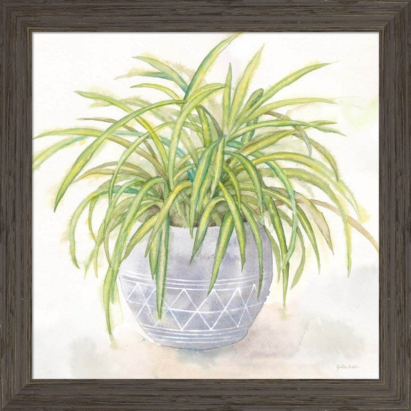 Houseplant II-Spider Plant by Cynthia Coulter, Framed Art