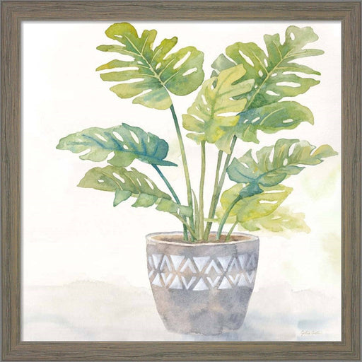 Houseplant III-Split Leaf Philodendron by Cynthia Coulter, Framed Art
