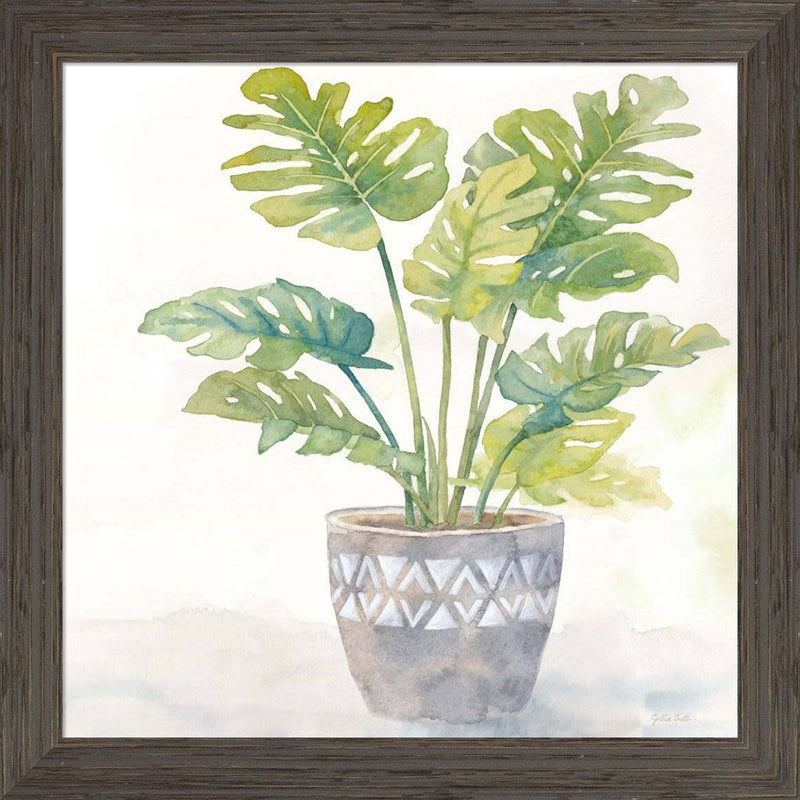 Houseplant III-Split Leaf Philodendron by Cynthia Coulter, Framed Art