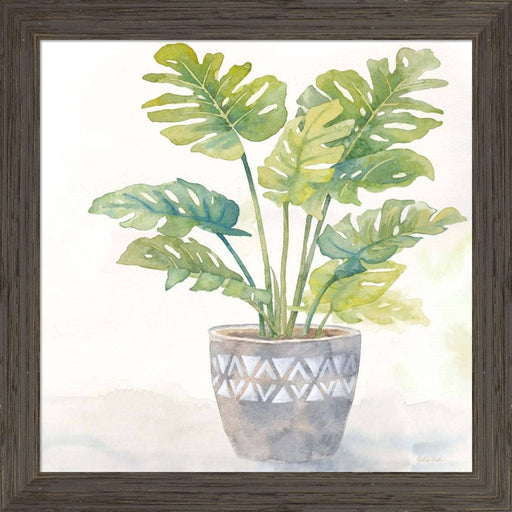 Houseplant III-Split Leaf Philodendron by Cynthia Coulter, Framed Art