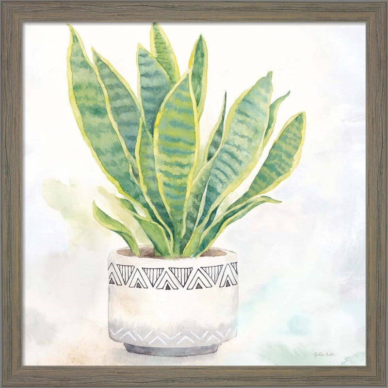Houseplant IV-Snake Plant by Cynthia Coulter, Framed Art