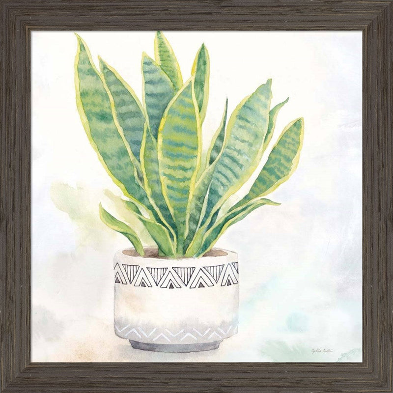 snake plant art Houseplant IV-Snake Plant by Cynthia Coulter, Framed Art