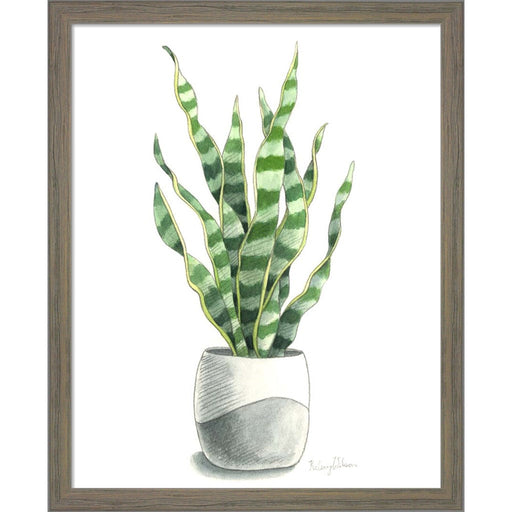 Potted Exotics I by Kelsey Wilson, Framed Art