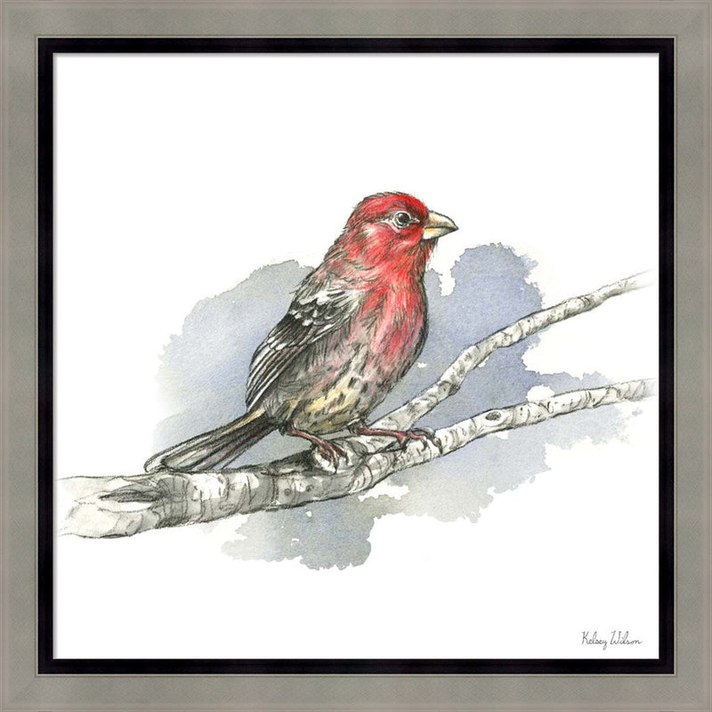 Birds & Branches IV-House Finch by Kelsey Wilson, Framed Art
