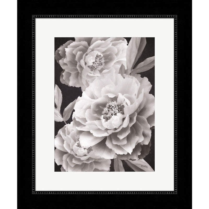 Black and White Peonies by Heidi Kuntz, Framed Art