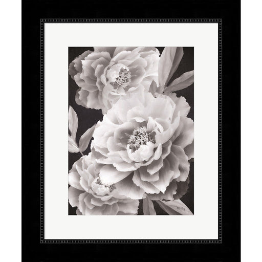 Black and White Peonies by Heidi Kuntz, Framed Art