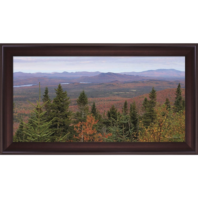 Adirondack Panorama by Lori Deiter, Framed Art