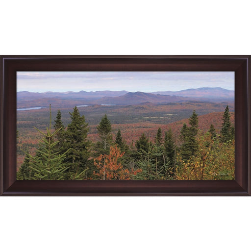 Adirondack Panorama by Lori Deiter, Framed Art