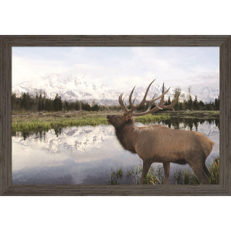Bull Elk in Tetons by Lori Deiter, Framed Art