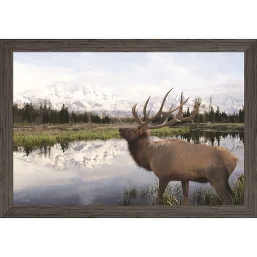 Bull Elk in Tetons by Lori Deiter, Framed Art