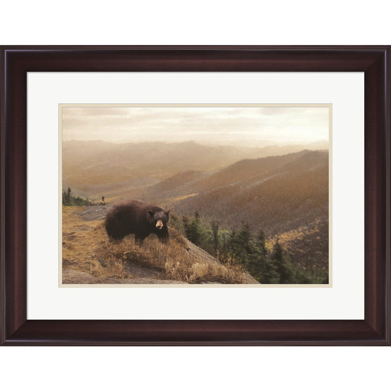 Bear Country by Lori Deiter, Framed Art