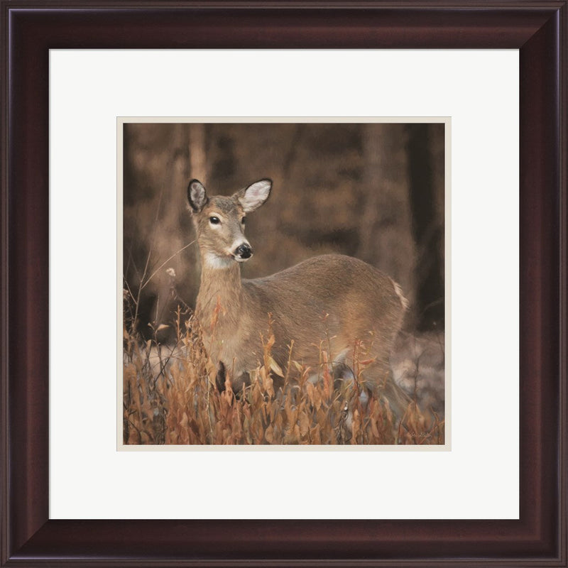 Whitetail Deer by Lori Deiter, Framed Art