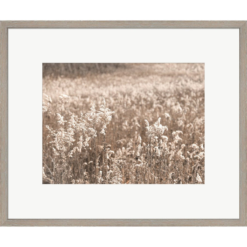 Fall Field by Lori Deiter, Framed Art