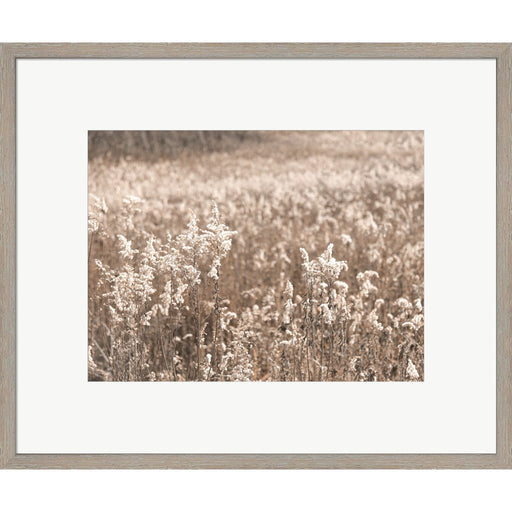 Fall Field by Lori Deiter, Framed Art