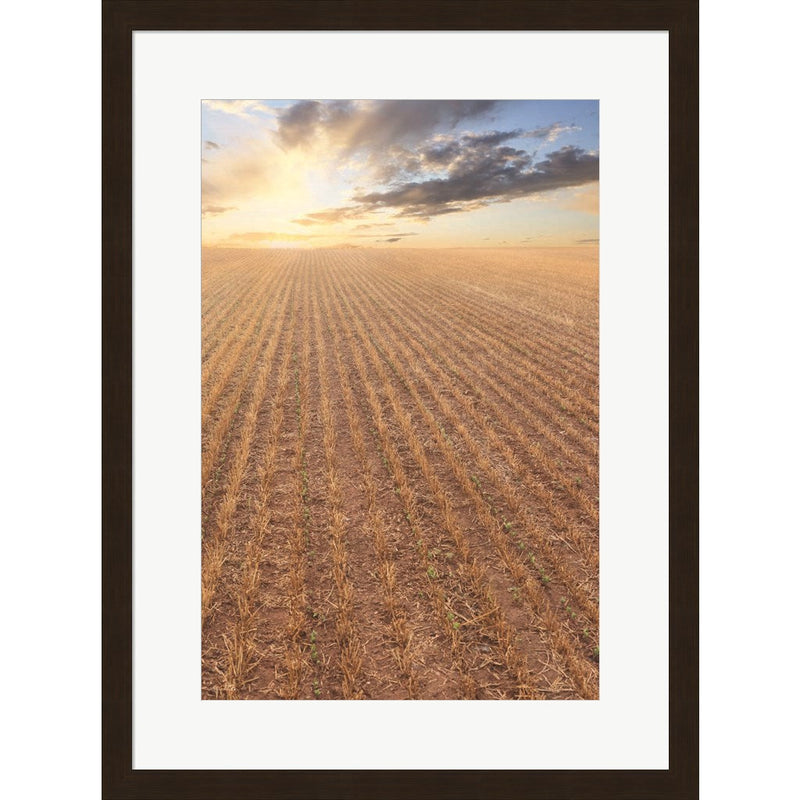It's a New Day by Lori Deiter, Framed Art