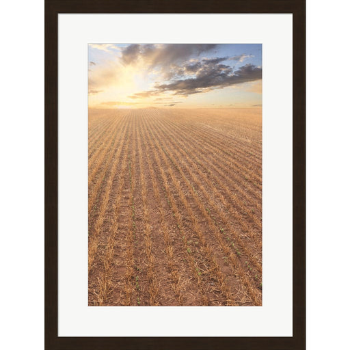 It's a New Day by Lori Deiter, Framed Art