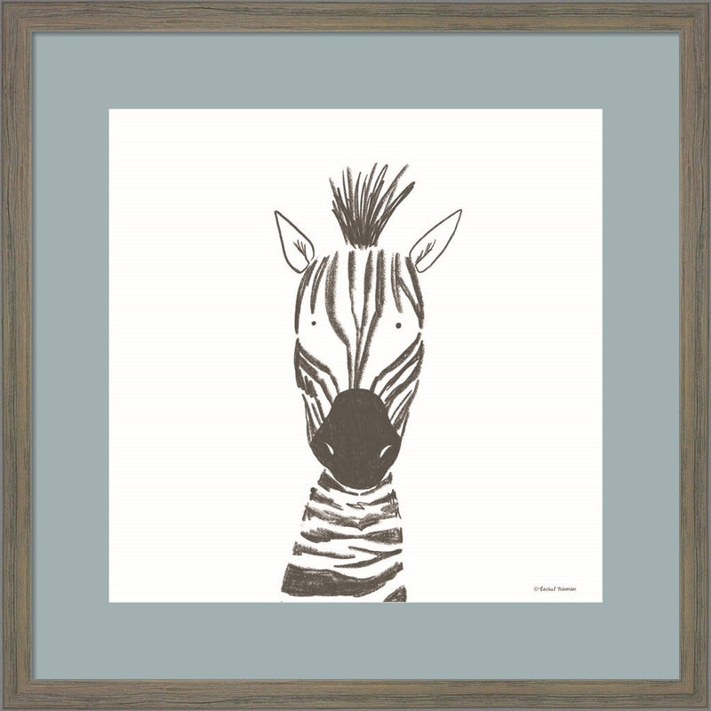 Zebra Line Drawing by Rachel Nieman, Framed Art