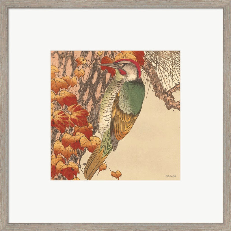 Autumn's Bounty 10 by Stellar Design Studio, Framed Art
