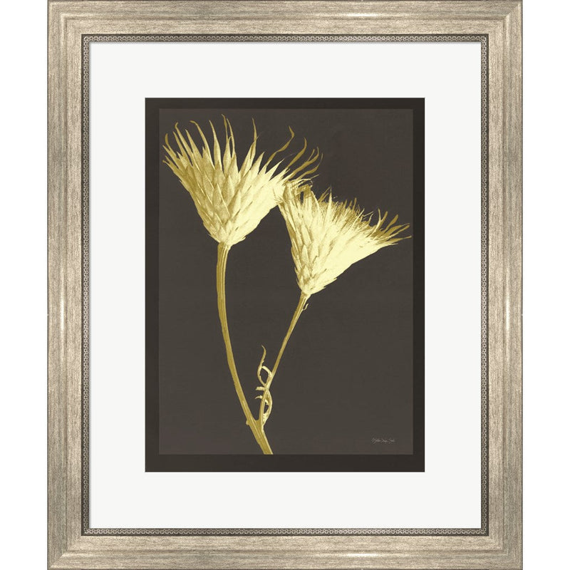 Forms in Nature 2 by Stellar Design Studio, Framed Art