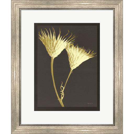 Forms in Nature 2 by Stellar Design Studio, Framed Art