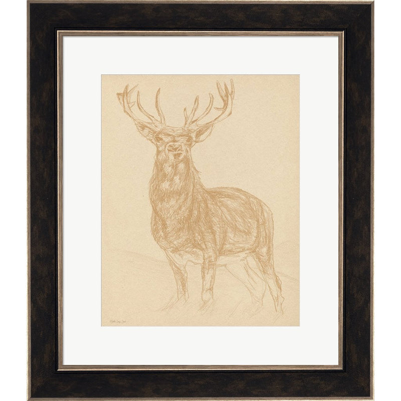 Buck Sketch by Stellar Design Studio, Framed Art