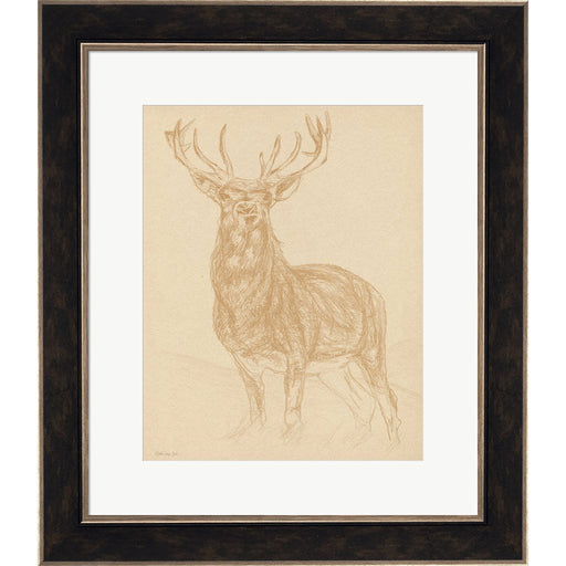 Buck Sketch by Stellar Design Studio, Framed Art