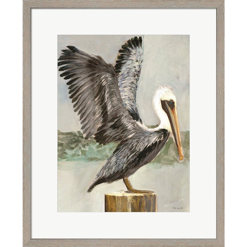 Brown Pelican 2 by Stellar Design Studio, Framed Art