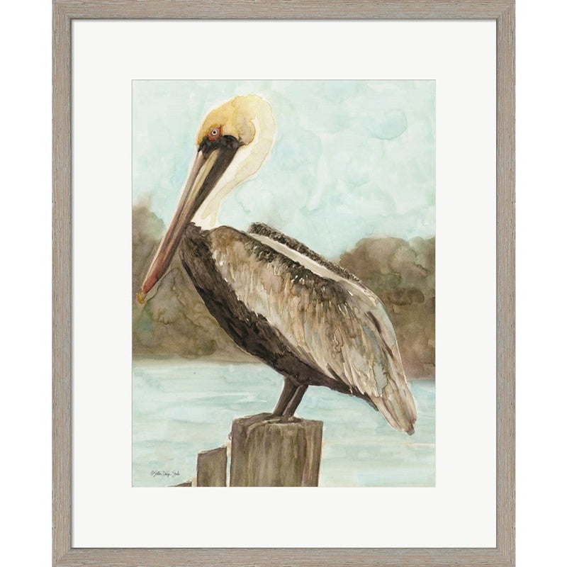 Brown Pelican 3 by Stellar Design Studio, Framed Art