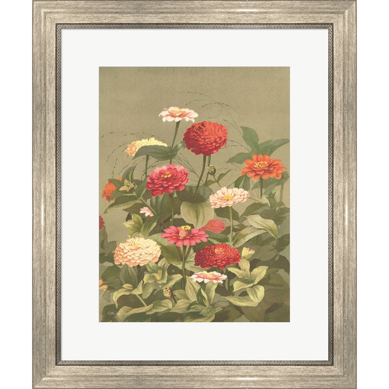 Antique Botanical Collection 1 by Stellar Design Studio, Framed Art
