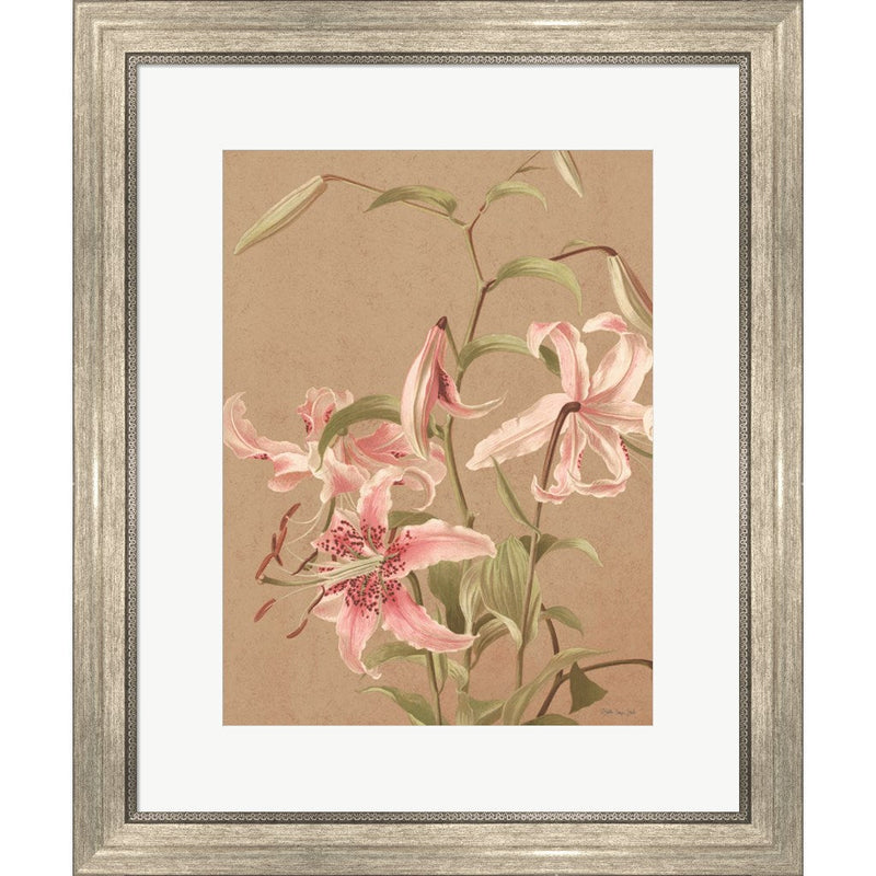 Antique Botanical Collection 3 by Stellar Design Studio, Framed Art
